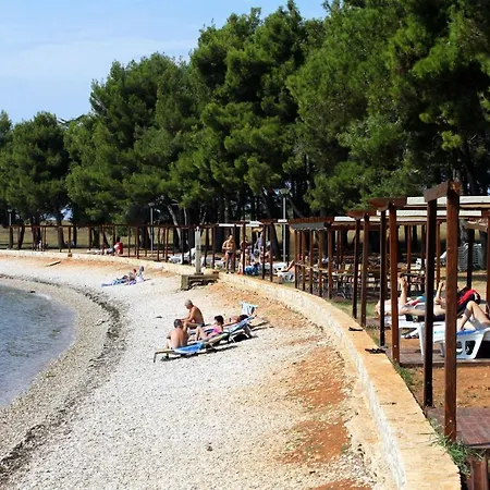 With A Parking Space Novigrad - 7037 Apartment